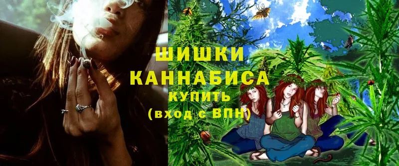 Бошки марихуана Amnesia  мега ССЫЛКА  Белозерск 